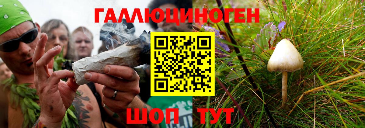 Псилоцибиновые грибы мицелий  Галлюциногенные грибы Cubensis  где купить   Киселёвск  Вход с VPN 